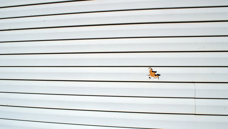 Vinyl Siding Panel Fix